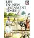 Life in New Testament Times  (Religious Topics)