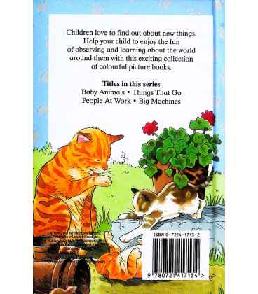 Baby Animals (Let's Look At) Back Cover