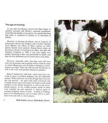 Wild Life in Britain (Conservation) Inside Page 2