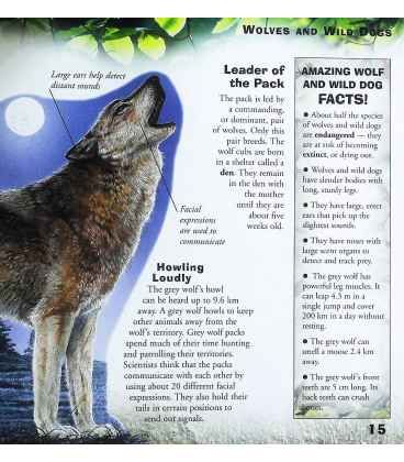 Killer Creatures! (Wild Life!) Inside Page 2