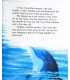The Curious Little Dolphin (Little Animal Adventures) Inside Page 1
