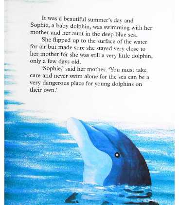The Curious Little Dolphin (Little Animal Adventures) Inside Page 2
