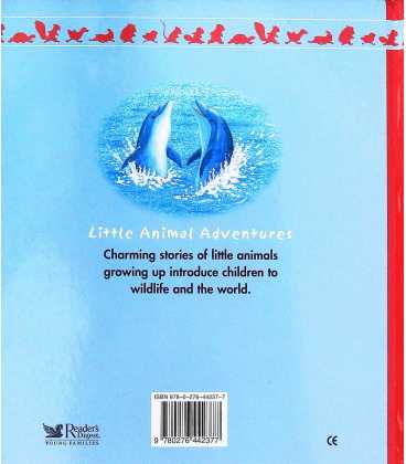 The Curious Little Dolphin (Little Animal Adventures) Back Cover