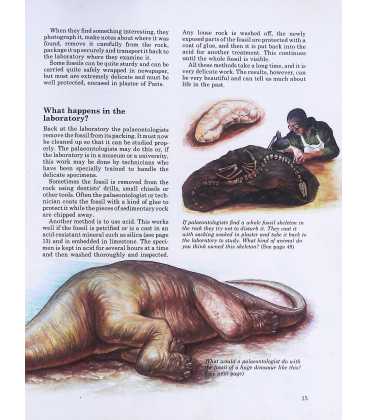 Find Out About Dinosaurs Inside Page 1