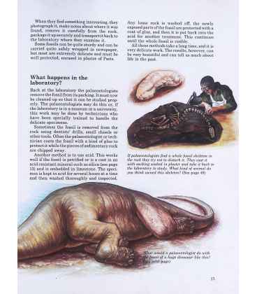 Find Out About Dinosaurs Inside Page 1