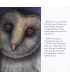 The Owl Who Was Afraid of the Dark Inside Page 2
