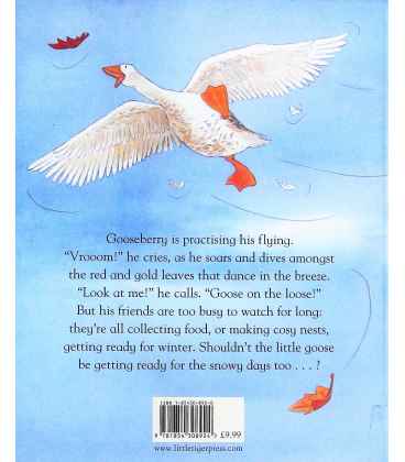 Goose on the Loose Back Cover