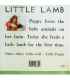 Little Lamb  Back Cover