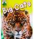 Big Cats (Leapfrog Learners)