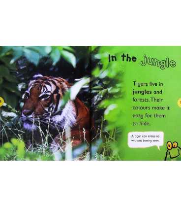 Big Cats (Leapfrog Learners) Inside Page 2
