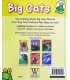 Big Cats (Leapfrog Learners) Back Cover