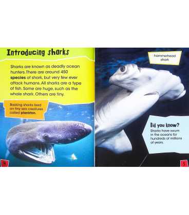 Shocking Sharks Inside Page 1