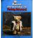 Round the World with Teddy Edward