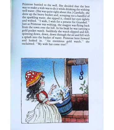 Toby Claypots Wishing Well (Rainbow's End) Inside Page 2