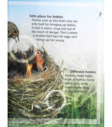 Animal Homes (Kingfisher Young Knowledge) Inside Page 1