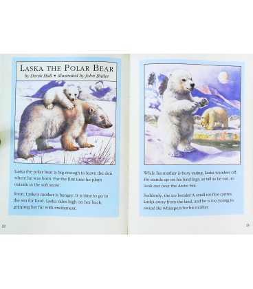 The Walker Book Of Bear Stories  Inside Page 2