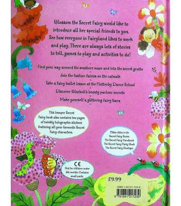 The Secret Fairy in Fairyland  Back Cover