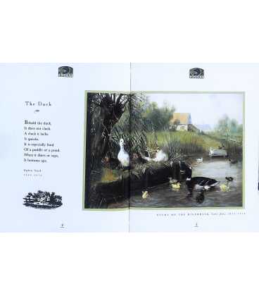Little Book of Ducks Inside Page 1