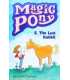 The Lost Rabbit (Magic Pony Book 2)