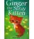 Ginger the Stray Kitten