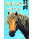 Willow the Wild Pony (Jenny Dale's Pony Tales)