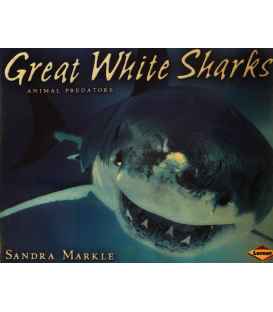 Great White Sharks