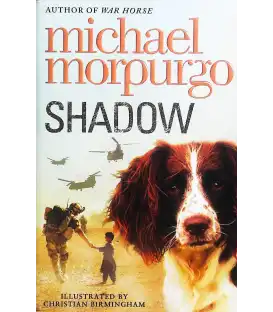 Shadow