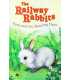 Fern and the Dancing Hare (The Railway Rabbits)