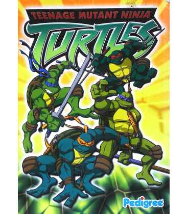 Teenage Mutant Ninja Turtles Annual