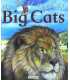 My Best Book of Big Cats