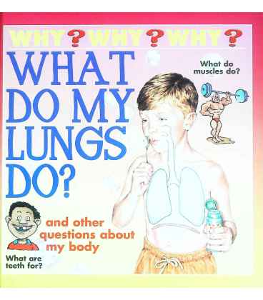 What Do My Lungs Do?