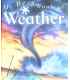 My Best Book of Weather