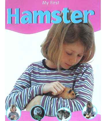 Hamster