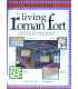 The Living Roman Fort