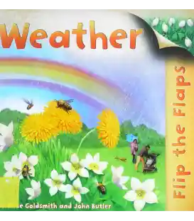 Flip the Flaps: Weather