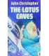 The Lotus Cave