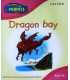 Read Write Inc. Home Phonics: Dragon Bay: Book 4A
