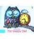 The Sleepy Owl