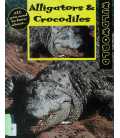 Alligators and Crocodiles (Wild World)
