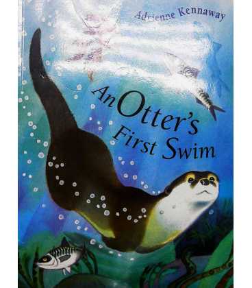 An Otter's First Swim