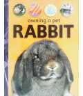 Rabbit (Owning A Pet)