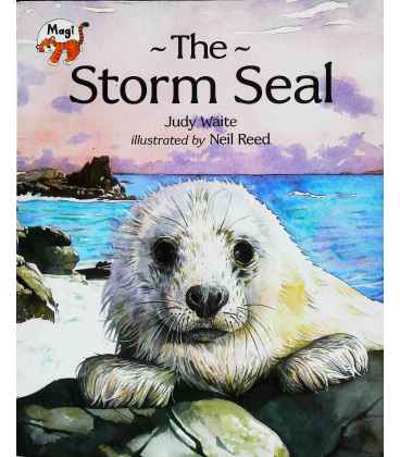 The Storm Seal