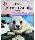 The Storm Seal