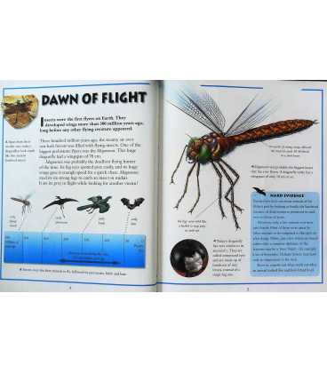 Flying Creatures (Prehistoric Animals) Inside Page 1