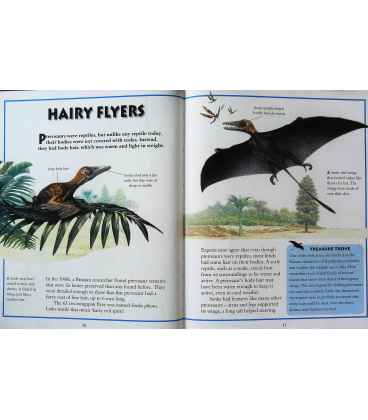 Flying Creatures (Prehistoric Animals) Inside Page 2