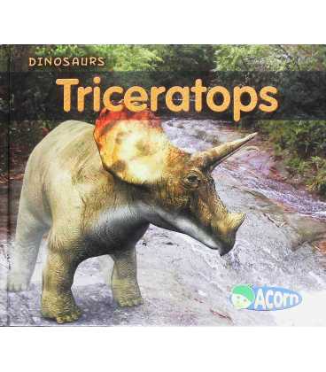 Triceratops (Dinosaurs)