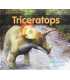 Triceratops (Dinosaurs)
