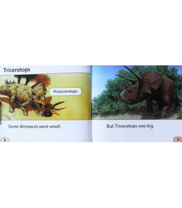 Triceratops (Dinosaurs) Inside Page 2