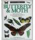 Butterfly and Moth (Eyewitness Guides)
