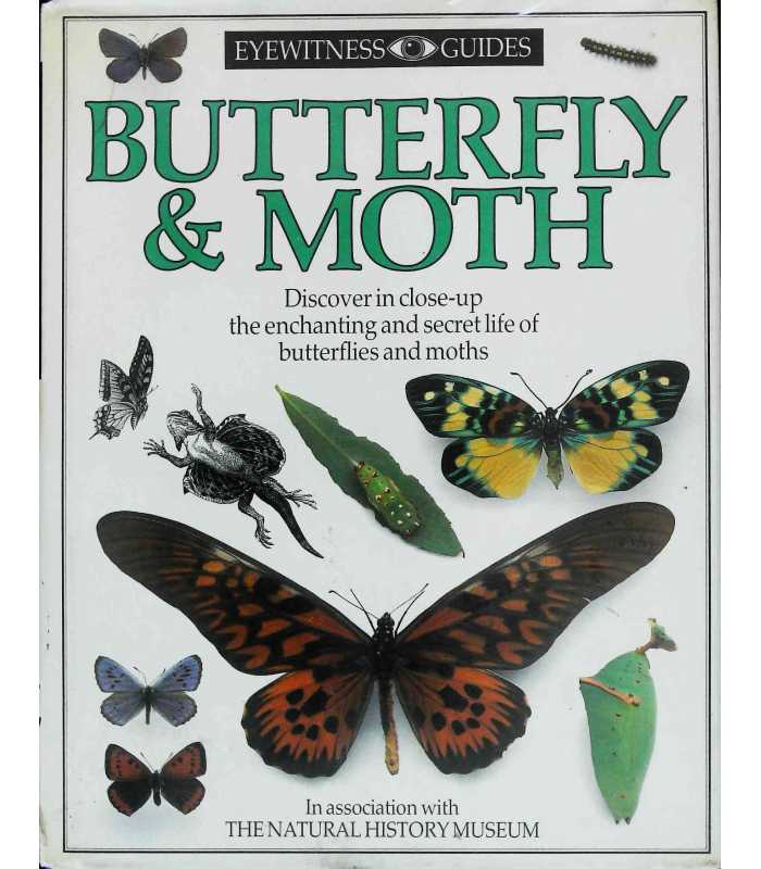 Butterfly and Moth (Eyewitness Guides) | Paul Ernest | 9780863183195